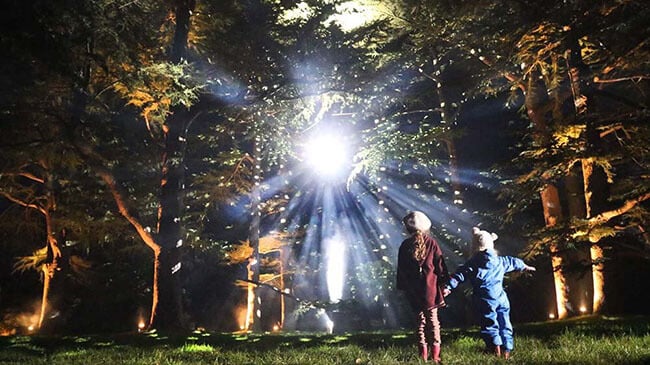 best Christmas light displays in the UK: Enchanted Christmas, Westonbirt Arboretum