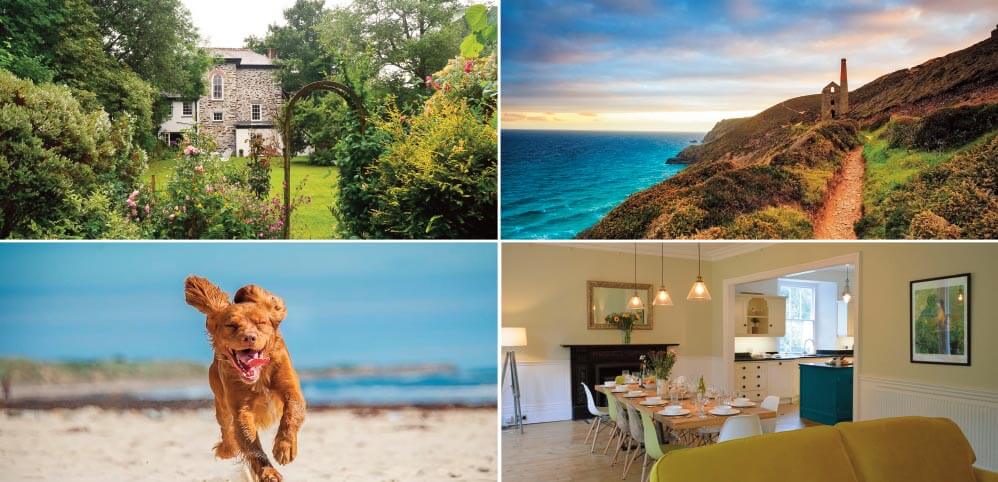 pet friendly holiday cottages: Staycation Holidays, Rosevean House and Rosemundy Villa, St Agnes