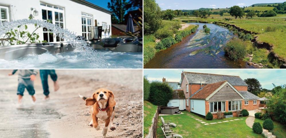 pet friendly holiday cottages: Staycation Holidays, Burrows and Apple Mill, near Sidmouth