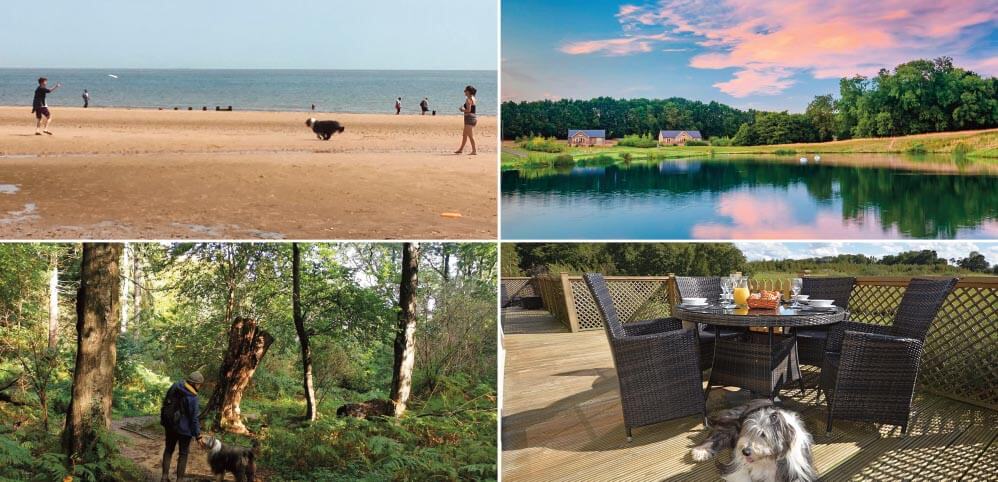 pet friendly holiday cottages: Staycation Holidays, Wakes Colne Lodges, Essex
