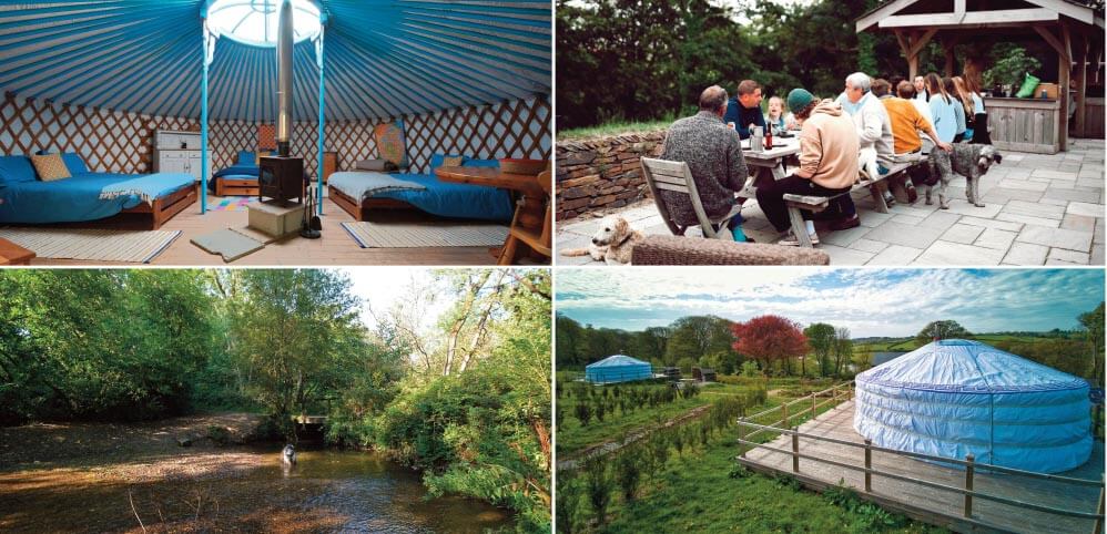 pet friendly holiday cottages: Staycation Holidays, Glamping Yurts at Fir Hill, Colan, near Newquay 