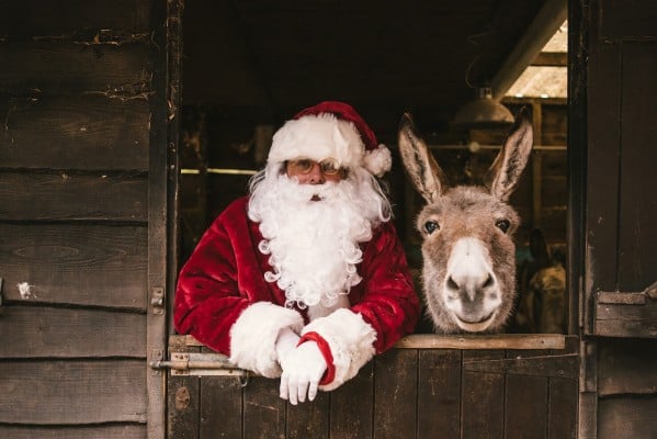 We’ve searched high and low and rounded up 12 memorable Santa experiences near our holiday cottages this Christmas