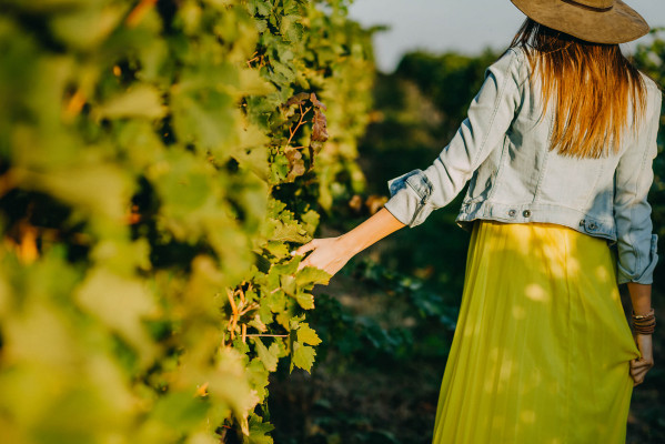 To celebrate English Wine Week (19-27 June), we've rounded up the 10 wonderful UK vineyard tours that are ripe for a visit during your next staycation