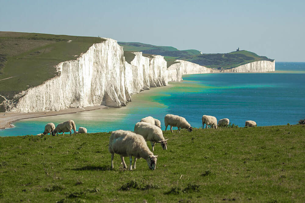 Top 10 things to do in East Sussex: Seven Sisters Country Park