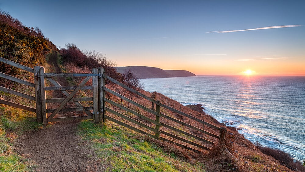 spring nature walks: South West Coast Path at Pencarrow Head, Cornwall