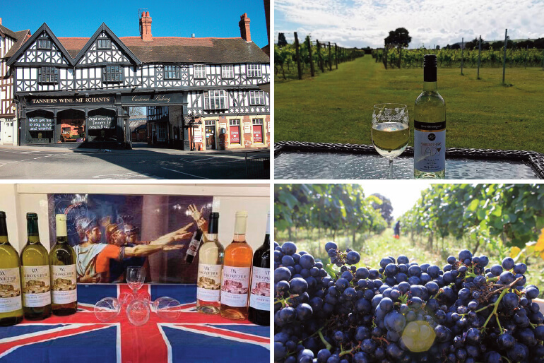 UK Staycation Vineyard Tour: Tanners Wine Merchants, Wroxeter Roman Vineyard, Kerry Vale and Rodington Vineyards, Shropshire