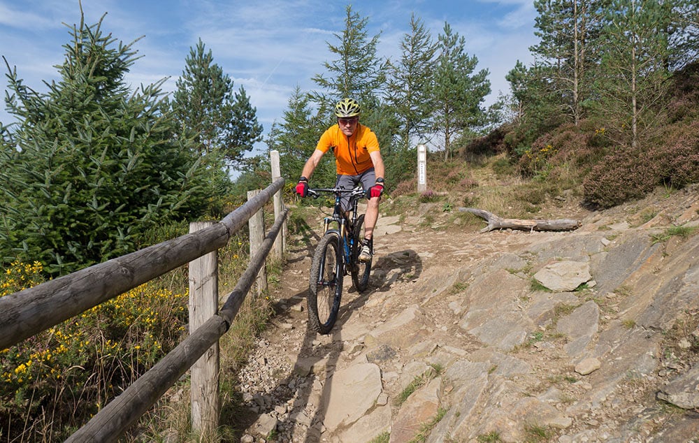 South Wales holiday cottage: Mountain biker riding a trail in a mountain bike park in South Wales
