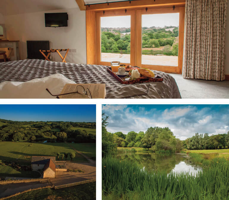National Walking Month holiday cottages: Staycation Holidays, Goose Run Cottage, Corscombe, Dorset