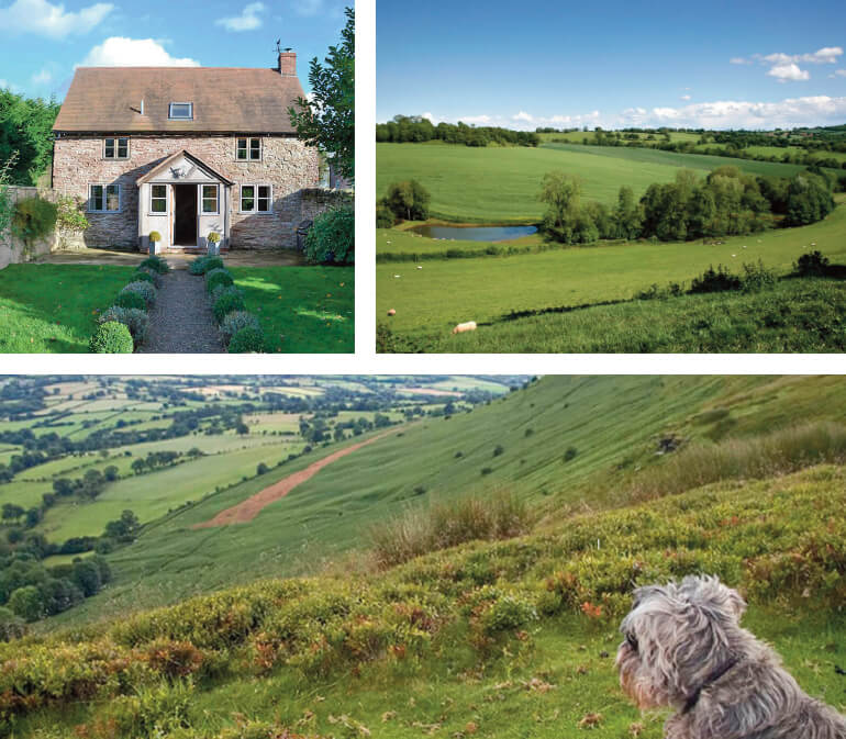 National Walking Month holiday cottages: Staycation Holidays, Hampton Wafre Cottage, near Docklow, Herefordshire