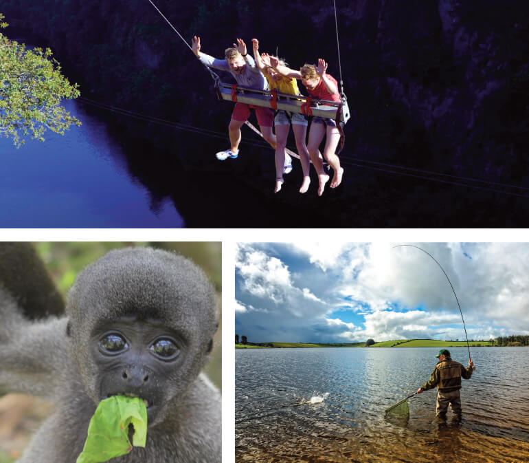 South Cornwall Winter Activities: Staycation Holidays, Monkey Sanctuary, Adrenalin Quarry, Siblyback Lake