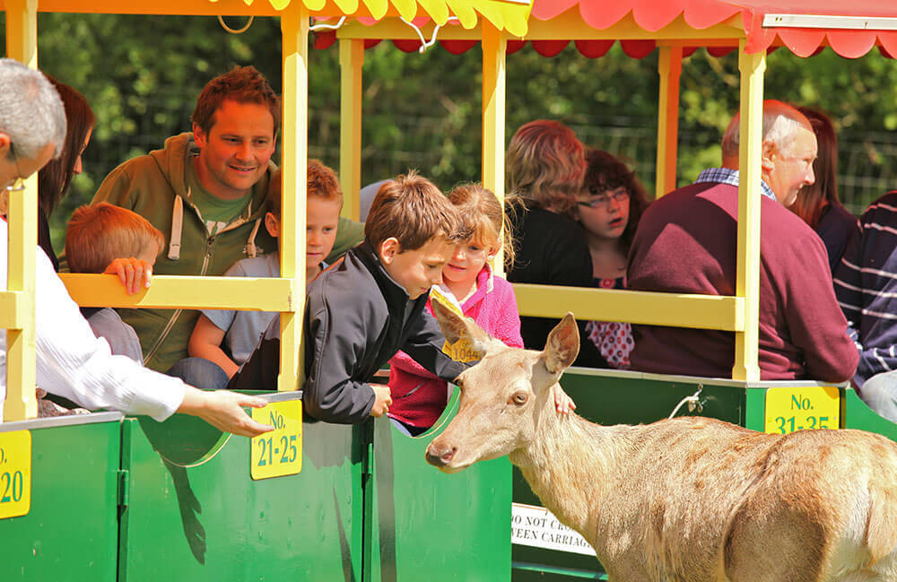 Top 10 East Devon Attractions: World of Country Life
